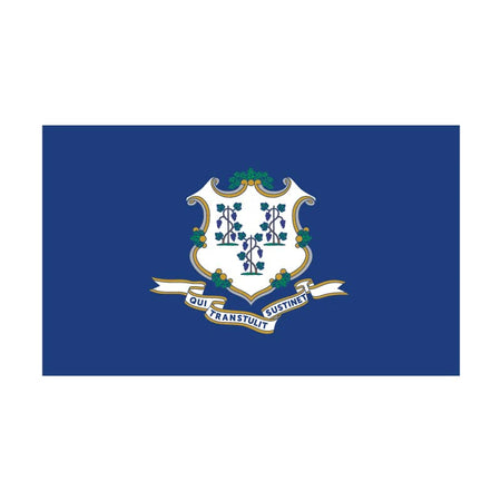 Eder Flags Connecticut Nylon State Flag - Made In The USA - Maximum Promotions