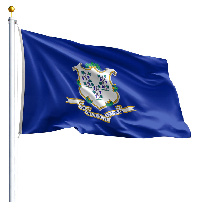 Eder Flags Connecticut Nylon State Flag - Made In The USA