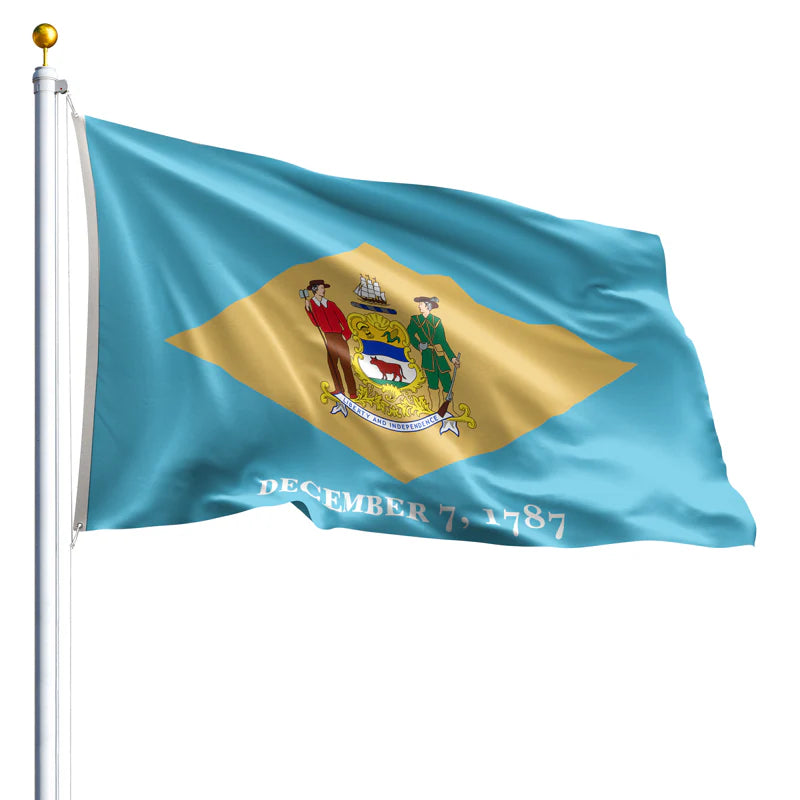 Eder Flags Delaware Nylon State Flag - Made In The USA