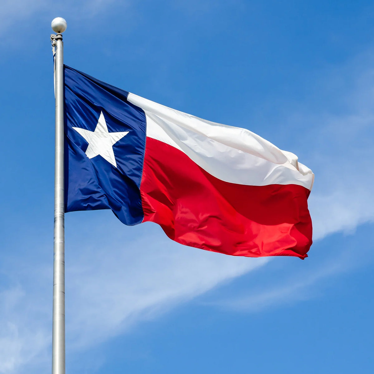Eder Flags Texas Nylon State Flag - Made In The USA - Maximum Promotions